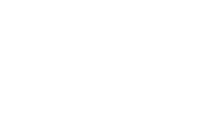 geniuz_logo